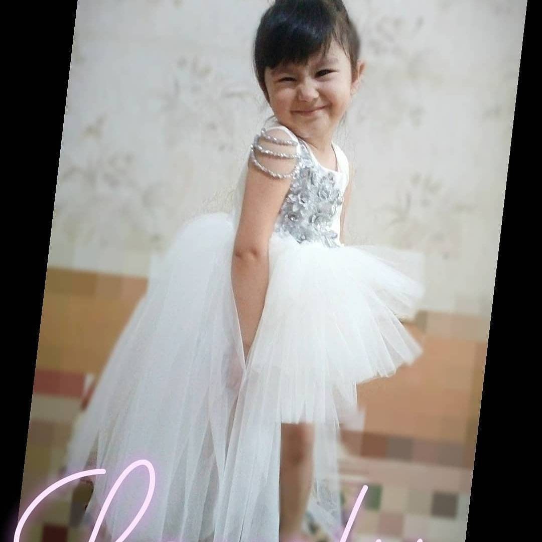 Silver Elegance Dress