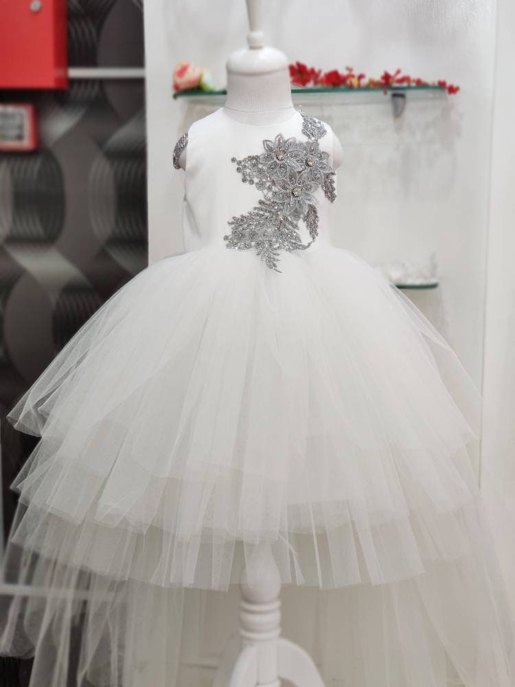 Silver Elegance Dress