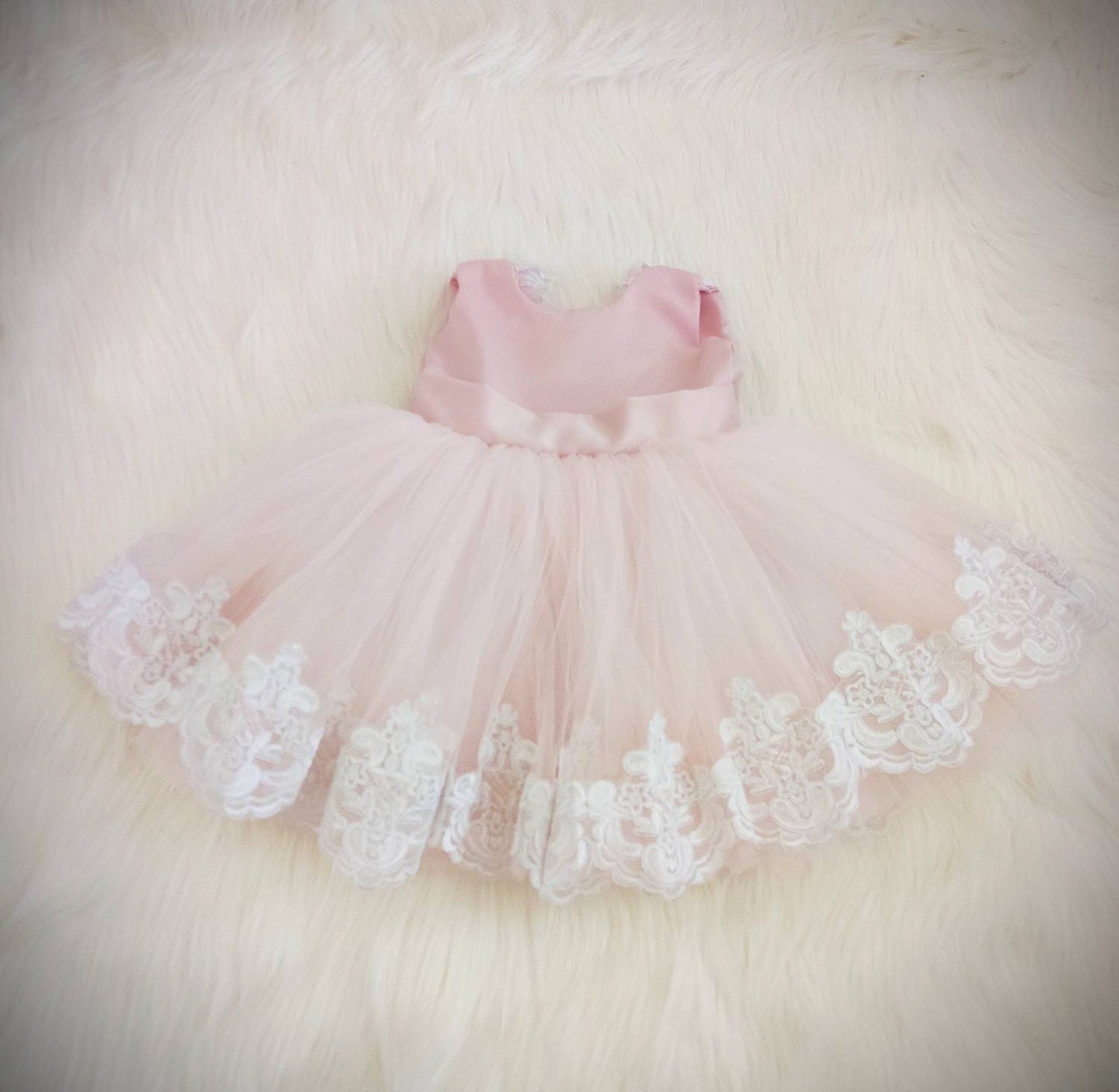 Enchanted Rose Dress
